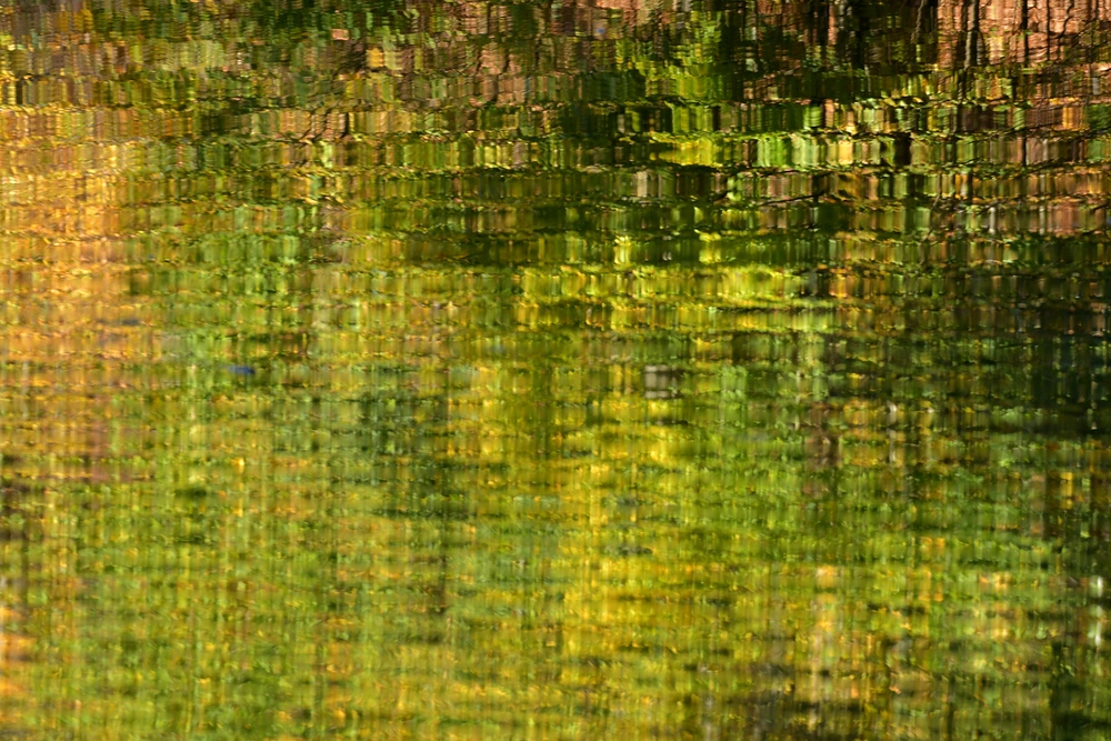 Wasserlichtspiegeltag auf dem Bärenfichtenweiher 01