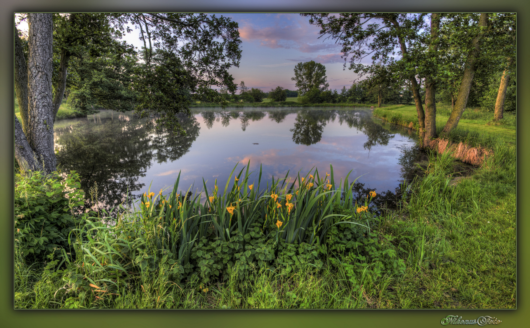 Wasserlilien am Teich 2