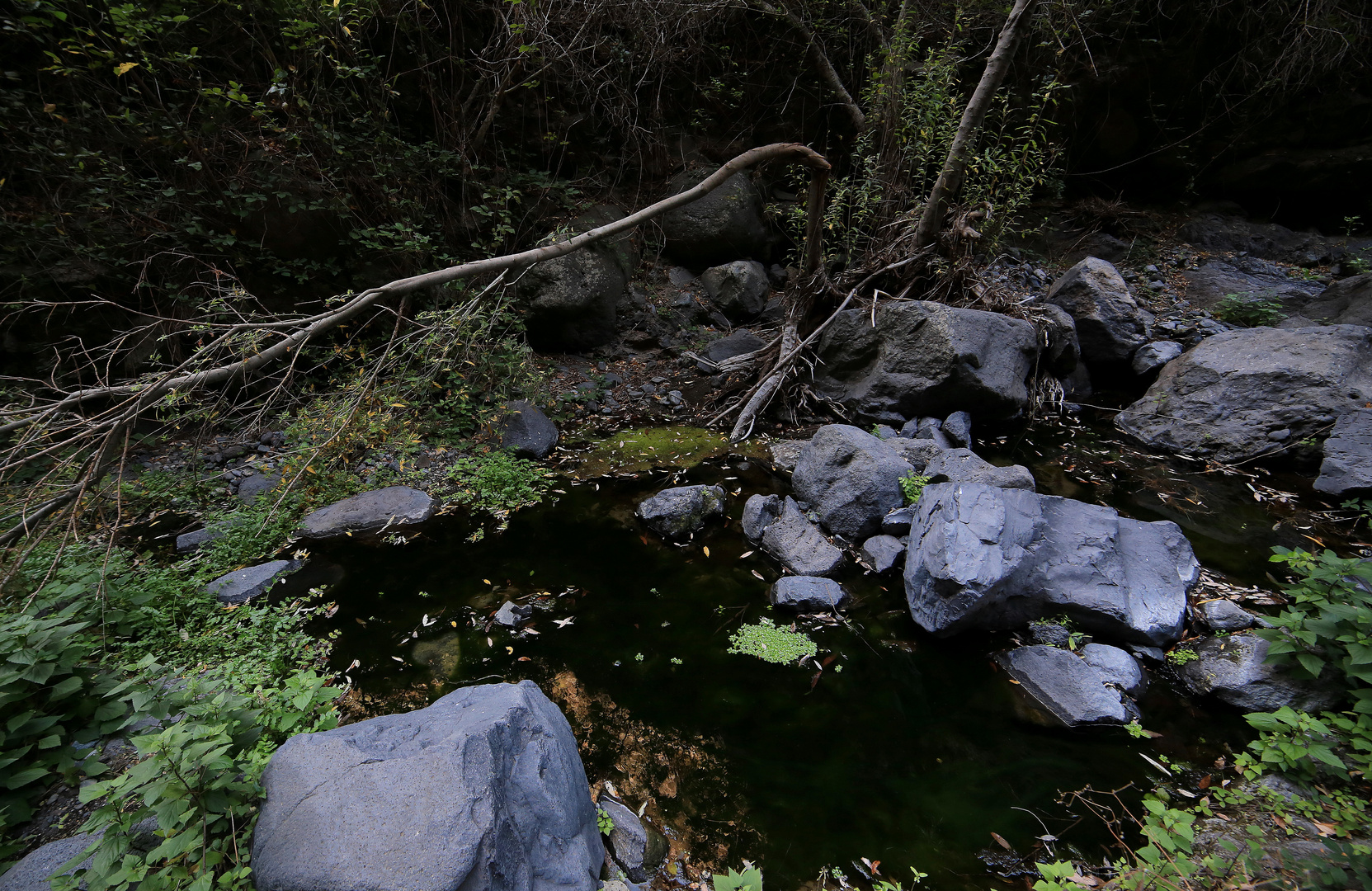 wasserloch