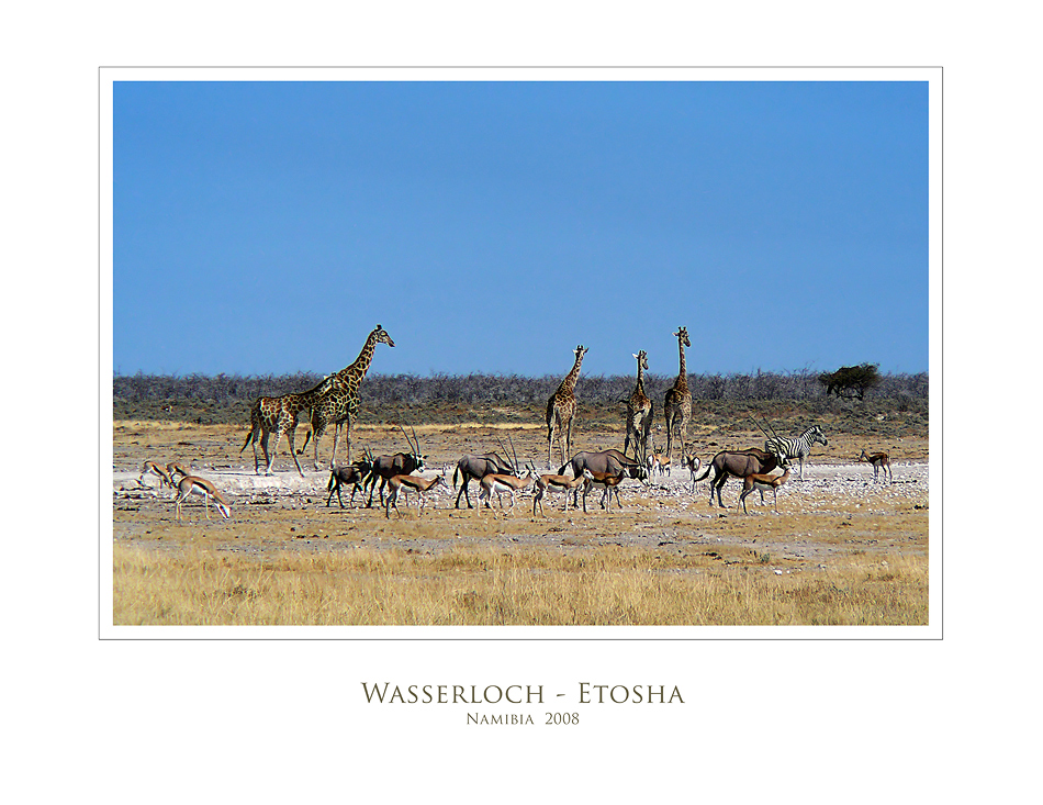 Wasserloch