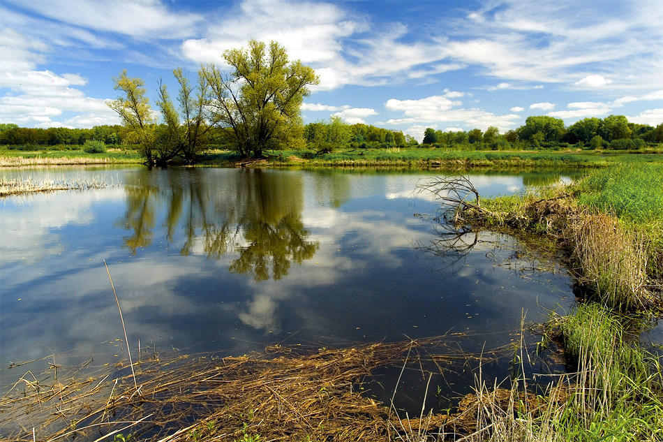 Wasserloch