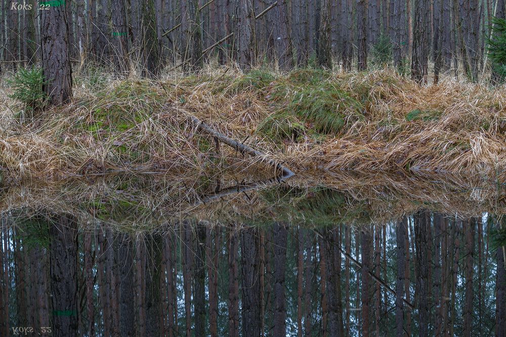 Wasserloch