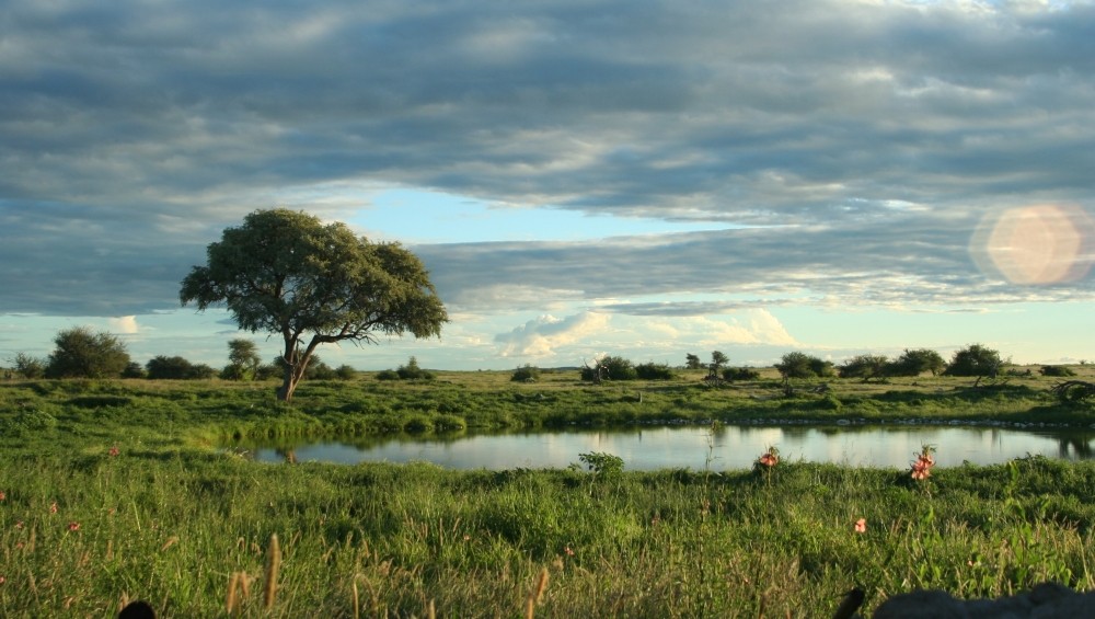 Wasserloch