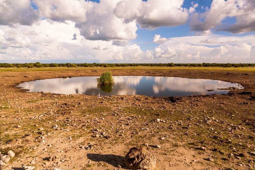 Wasserloch Etosha NP - Namibia