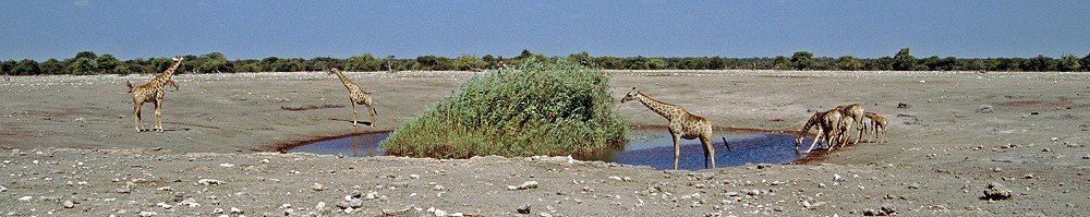 Wasserloch