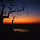 Wasserloch Halali in Etosha