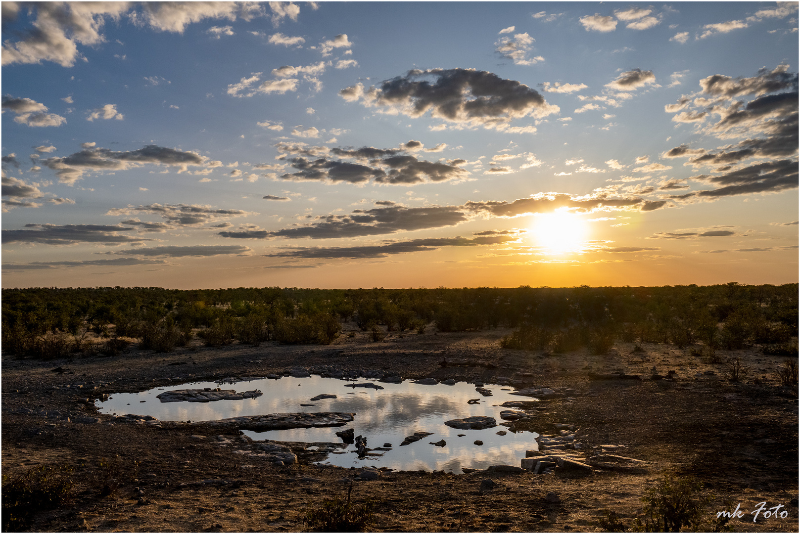 Wasserloch im Etosha NP