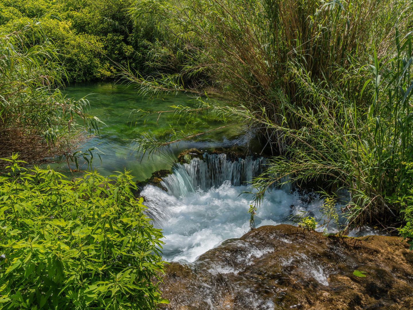 Wasserloch im Nationalpark Krka, Kroatien