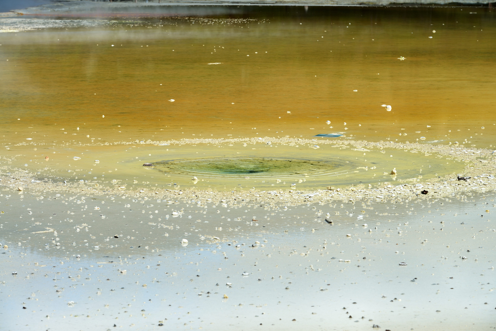 Wasserloch im Wai-O-Tapu