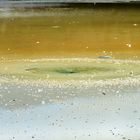 Wasserloch im Wai-O-Tapu