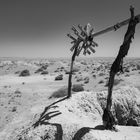 Wasserloch in Afrika