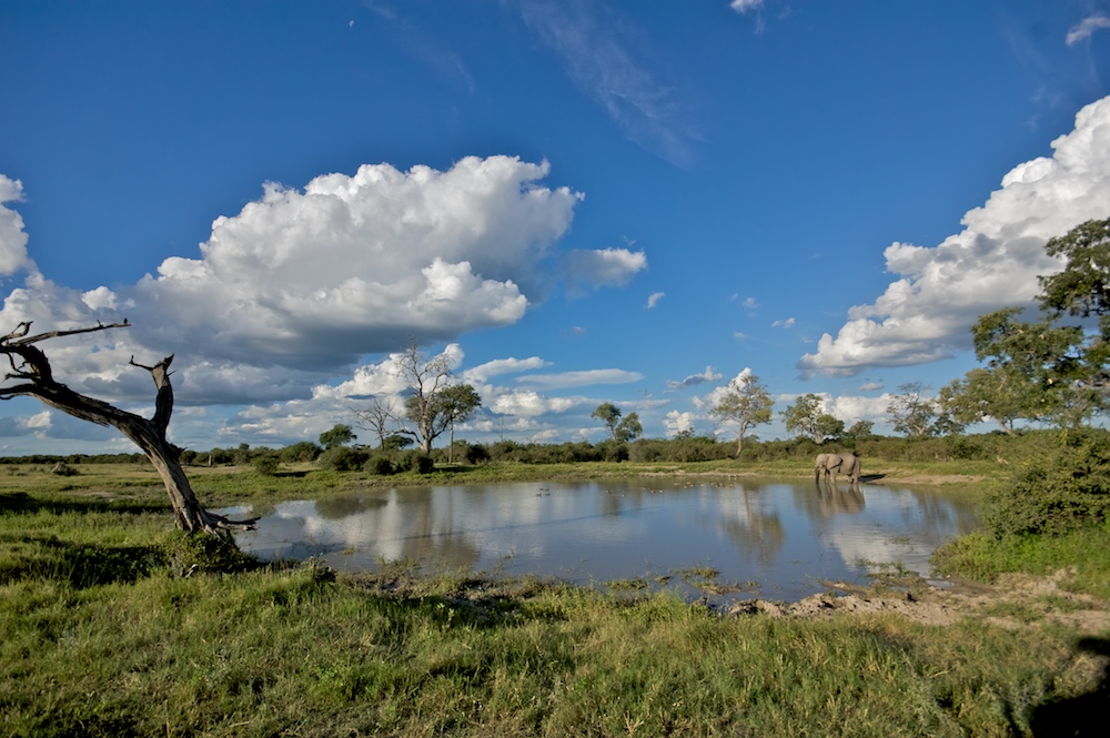 Wasserloch in Botswana