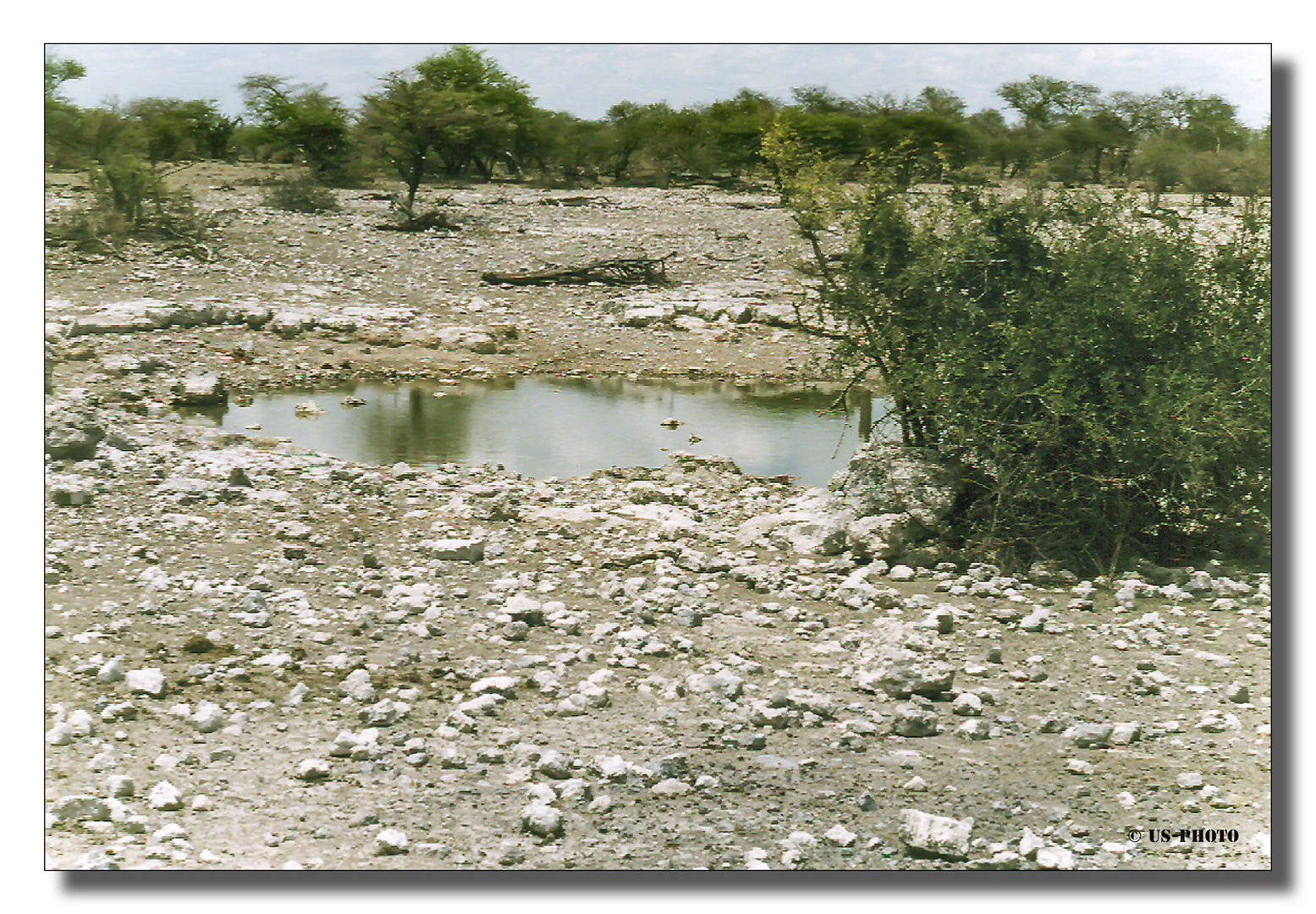 Wasserloch  in der Namib