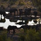 Wasserloch in Zimbabwe