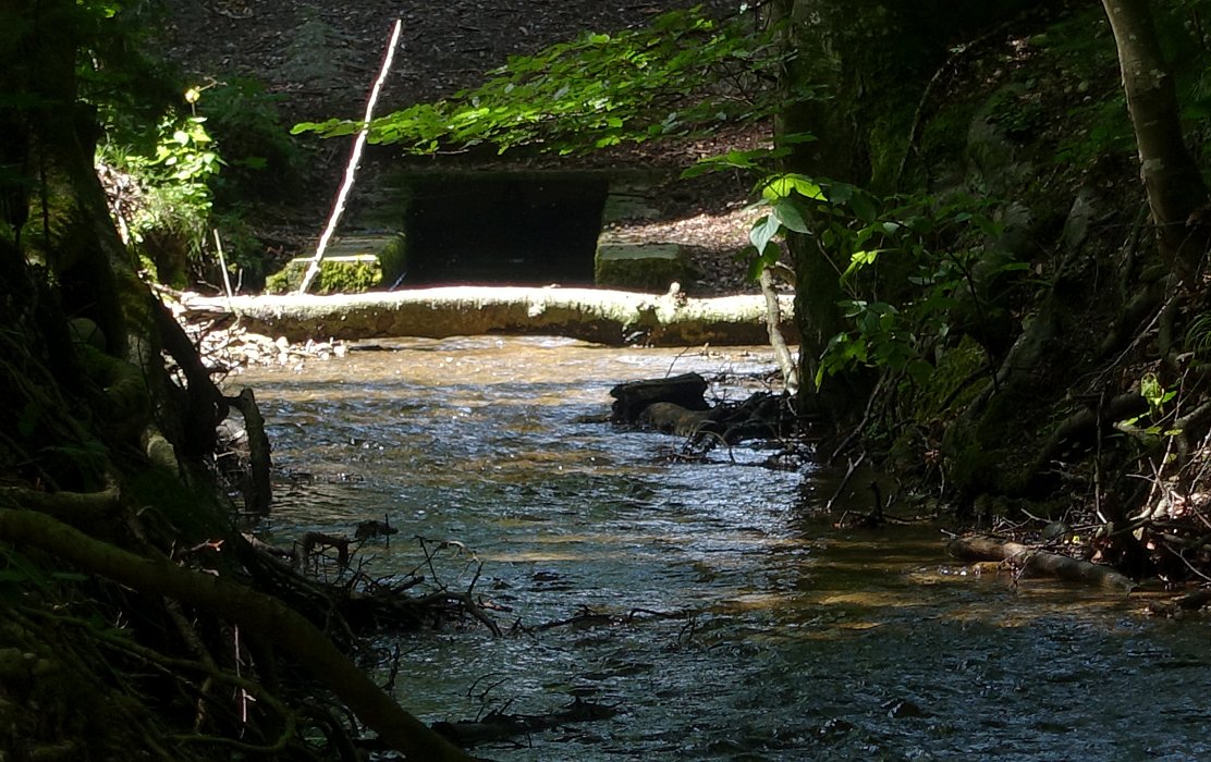 Wasserloch zur Mittelerde