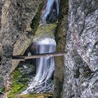 Wasserlochklamm Palfau 4