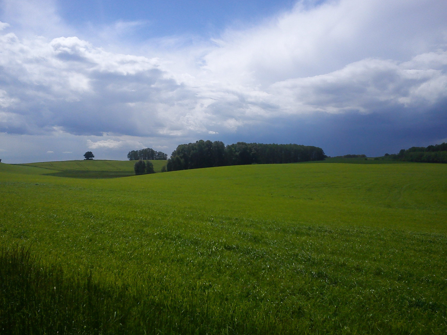 Wasserlosewellen