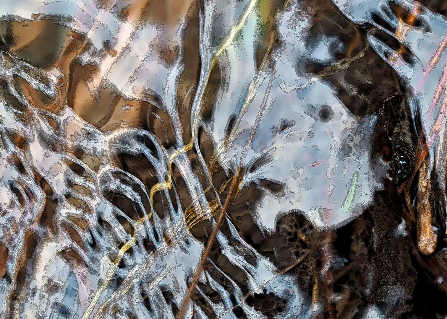 Wassermakro mit Pflanzenresten. - Des débris végétaux dans l'eau: une macro!