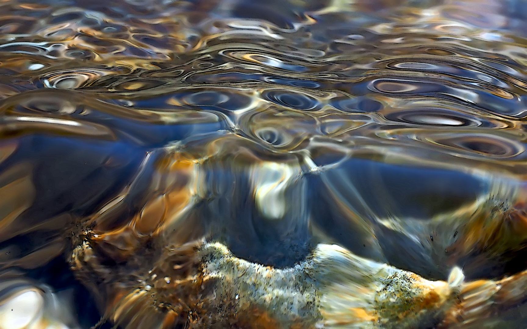 Wassermakros erzählen Geschichten von einer anderen Welt! - L'eau comme moyen d'expression! 