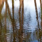 Wassermalerei oder Geäst im Wasser