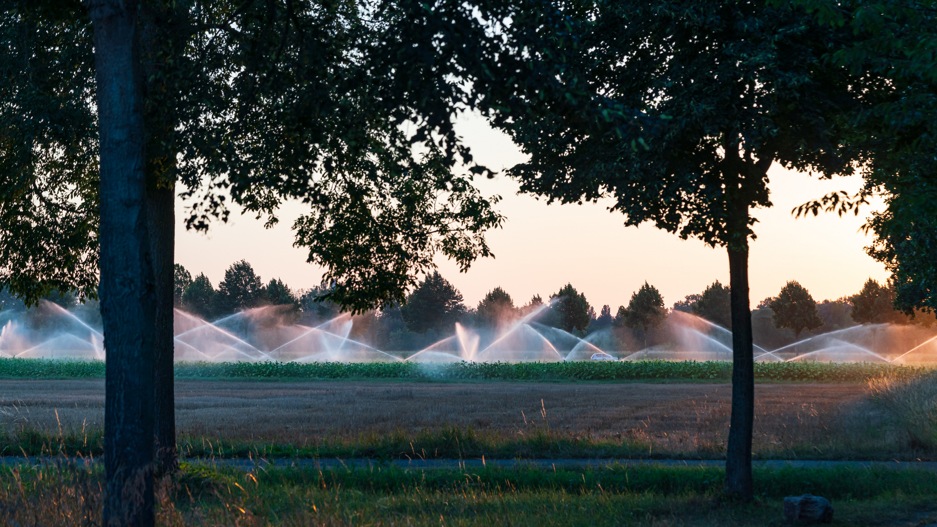 Wassermarsch