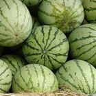 Wassermelone gefällig