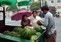 Wassermelonen