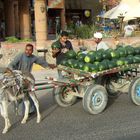 Wassermelonen - Transport und Verkauf