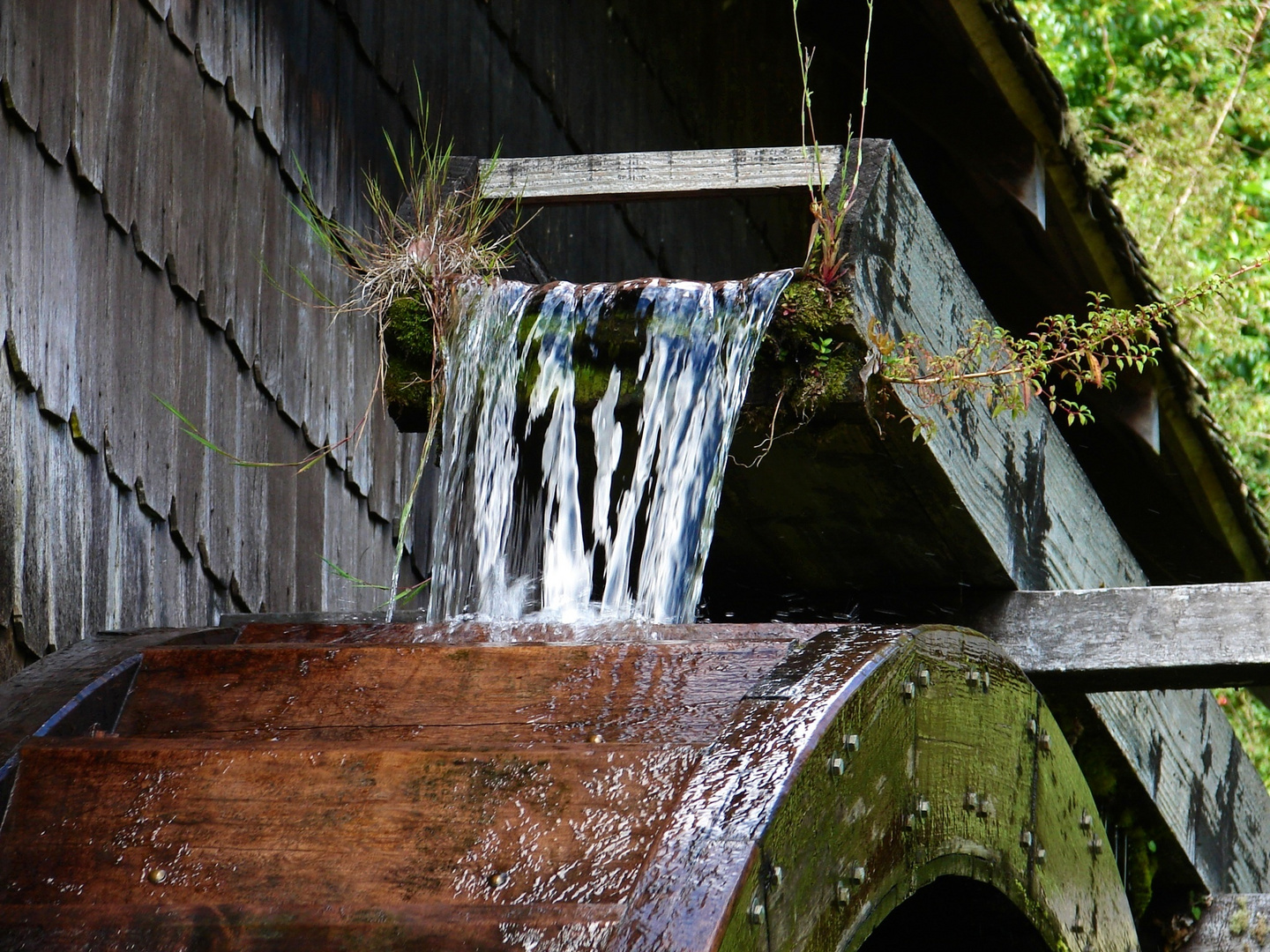 Wassermühle (Detail)