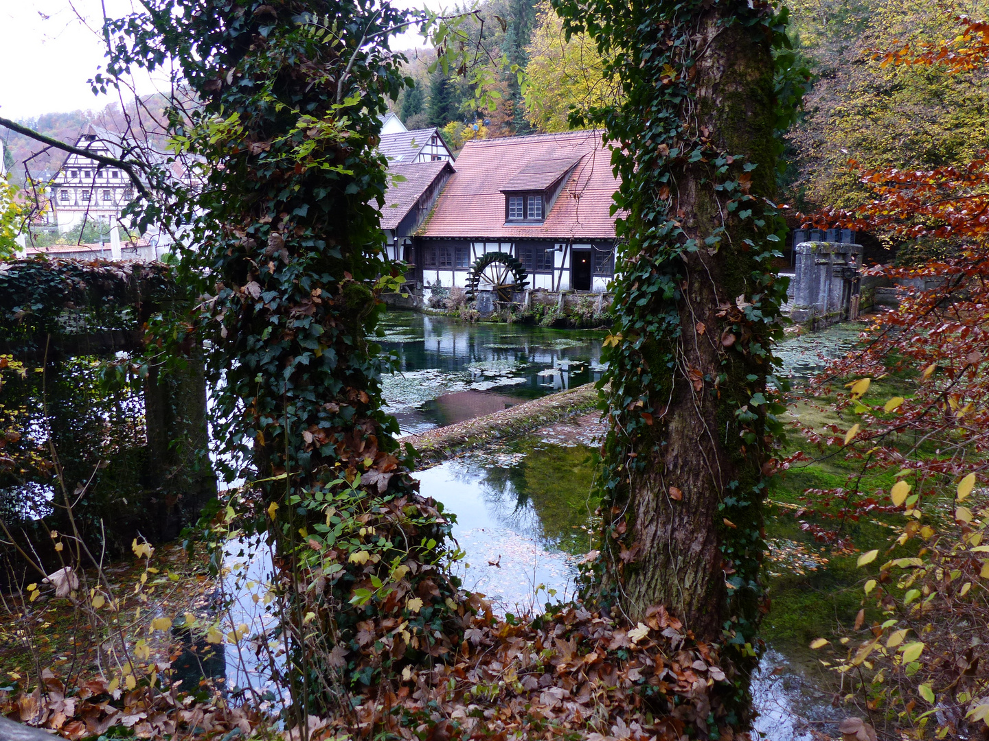 Wassermühle in Blaubeuren