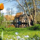 Wassermühle in Klein Rönnau