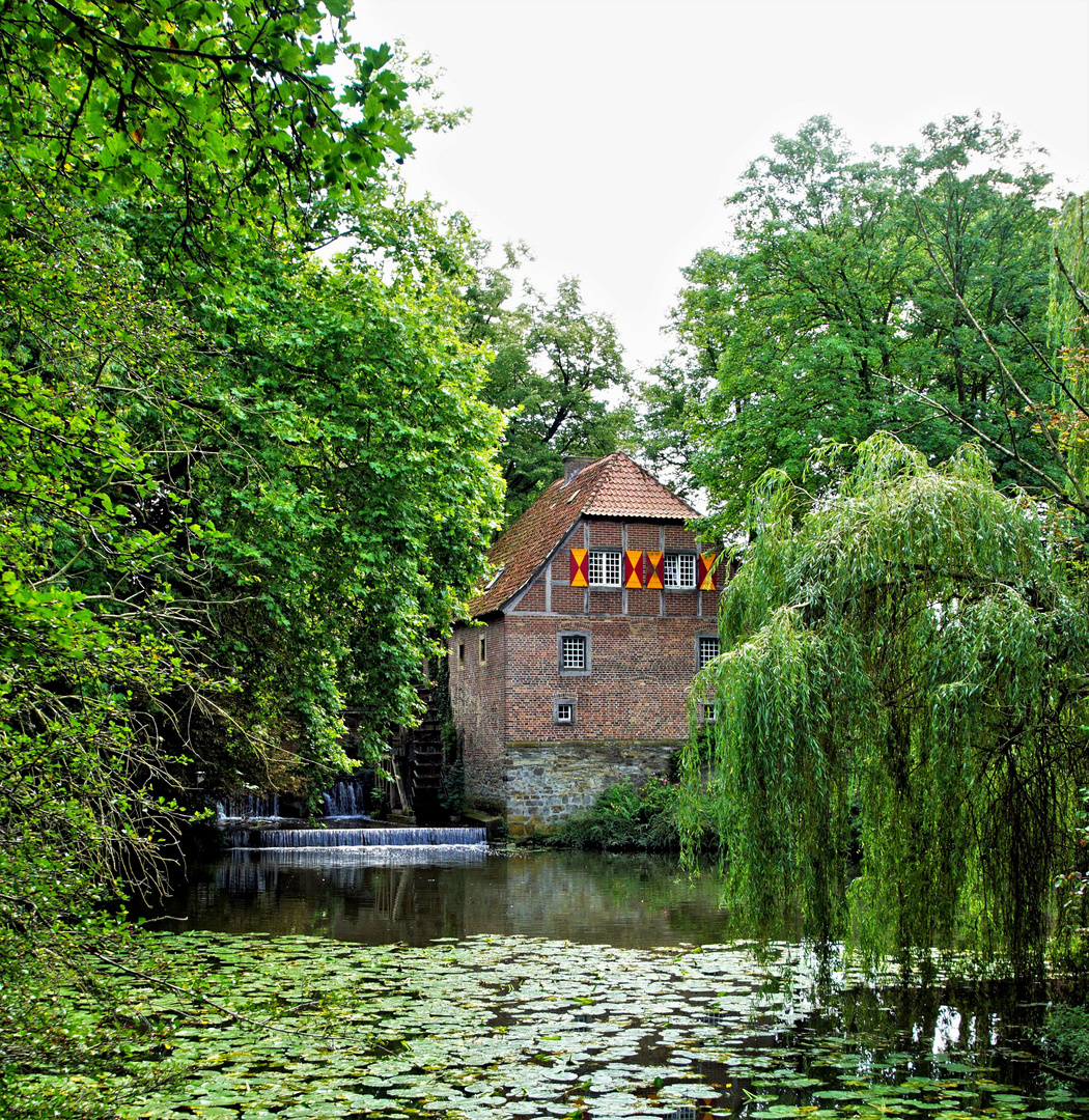  Wassermühle von Haus Steinfurt...