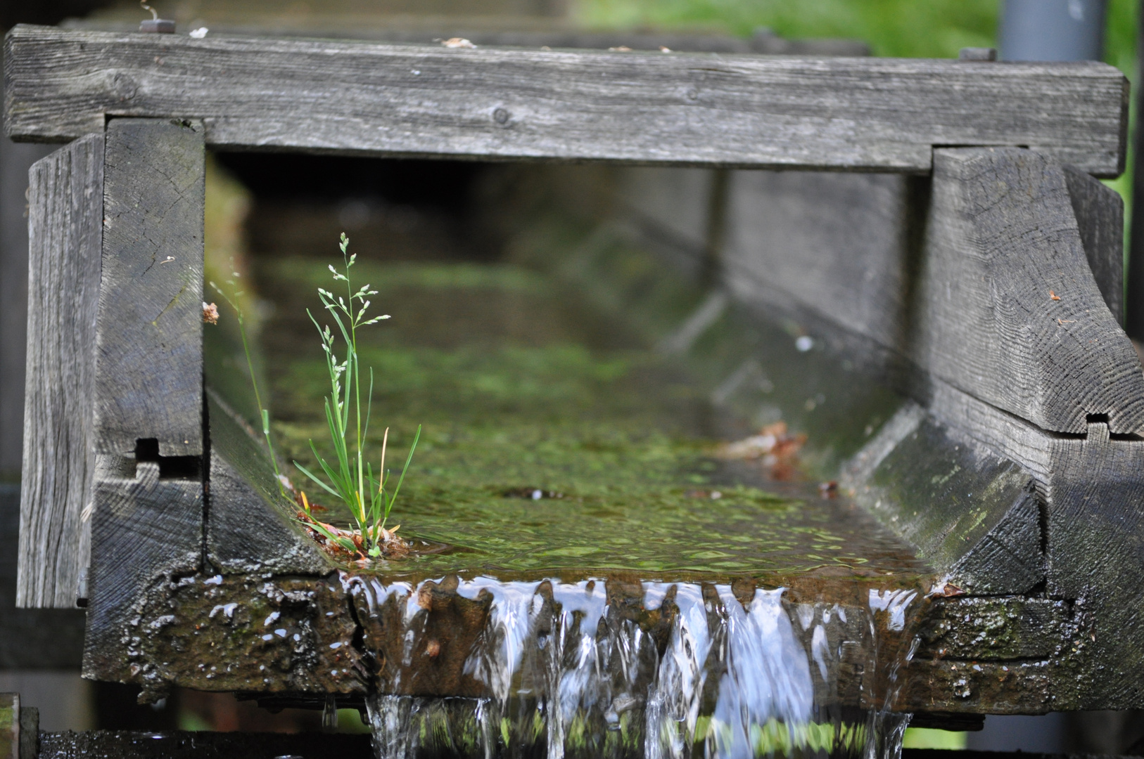 Wassermühlenlauf