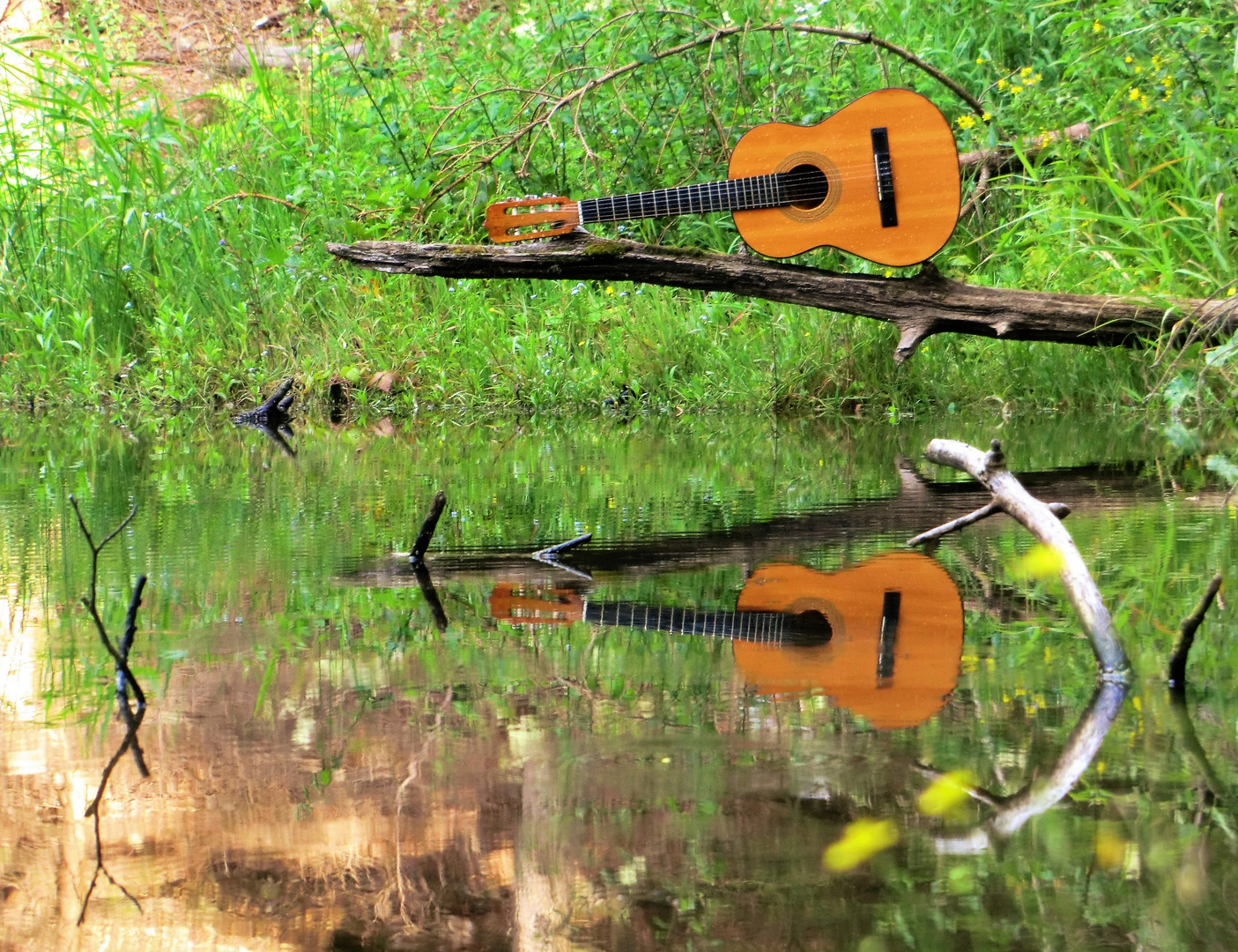 Wassermusik