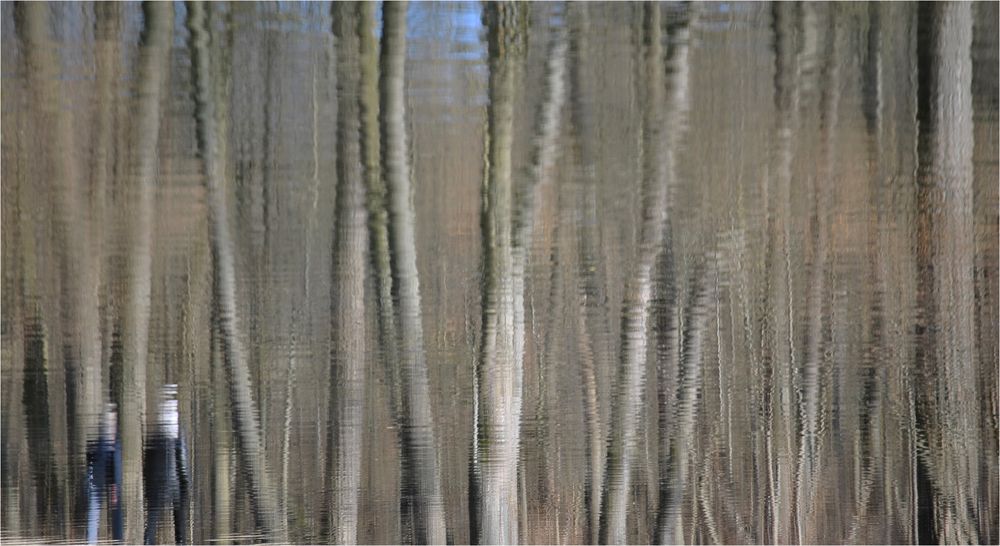 wassermusik blassfarbener tage...