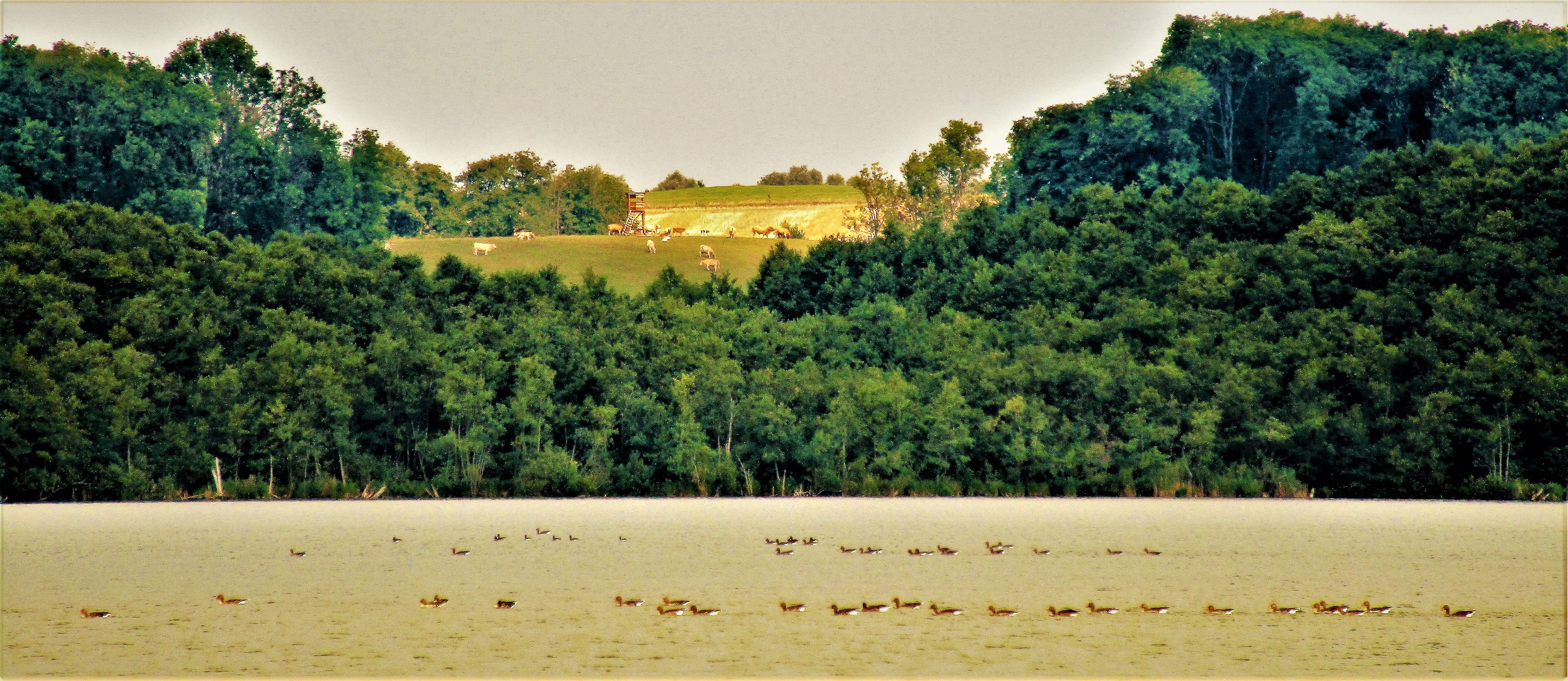 Wassern & Weiden