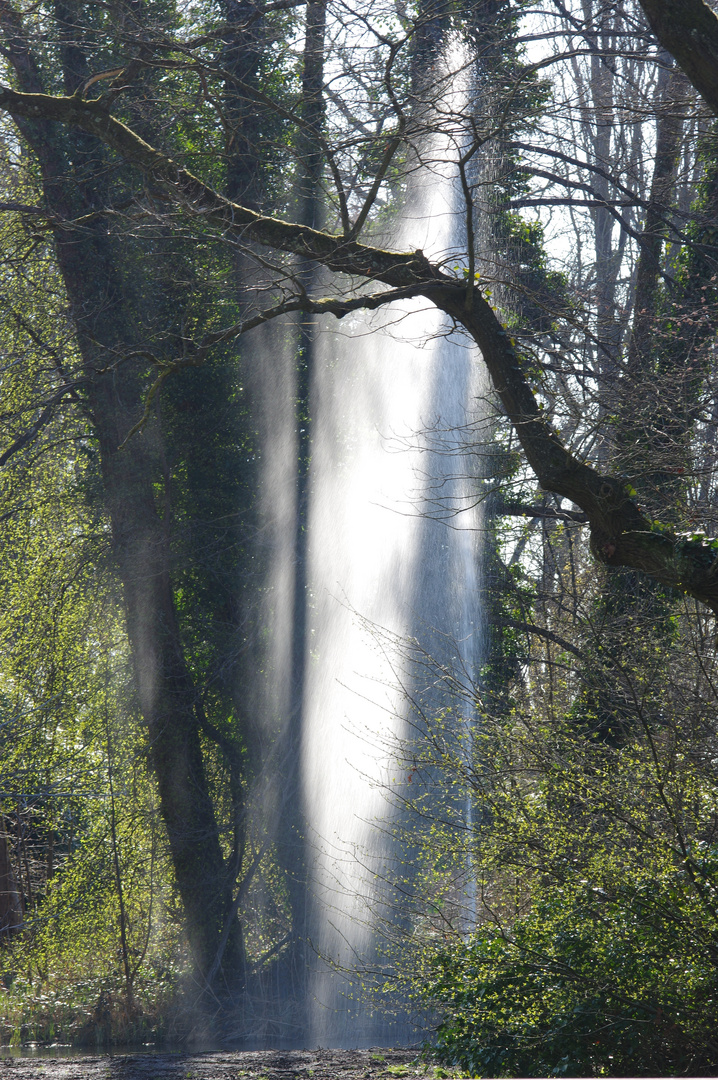 Wassernebel