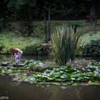 Wassernixe am Seerosenteich von Parque Terra Nostra