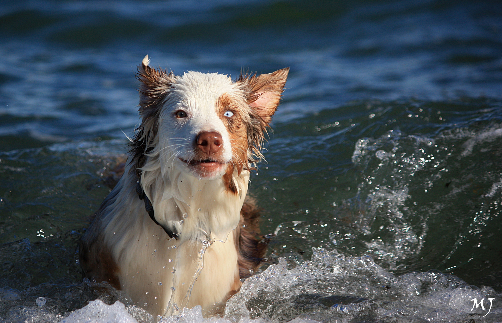 Wassernixe auf Fehmarn...