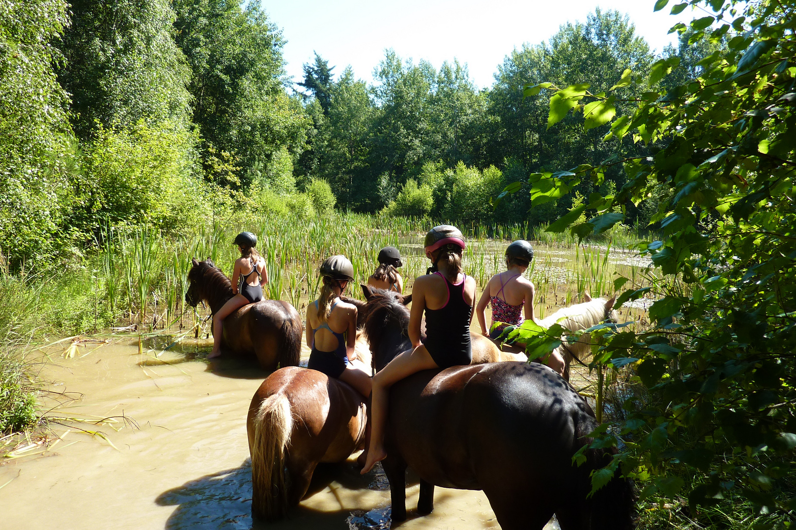 Wassernixen (6) Foto & Bild | outdoor, natur, landschaft Bilder auf