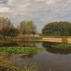 Wassernot im Regenbecken