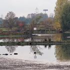 Wassernotstand im Naturschutzgebiet 'Am Tibaum' in der Lippeaue