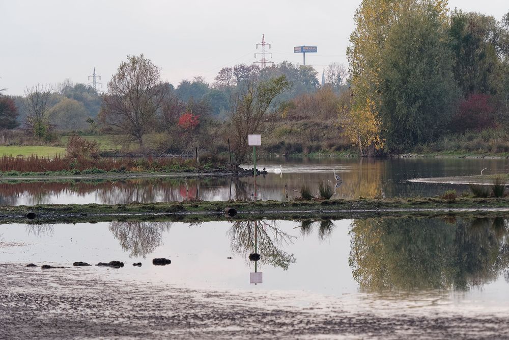 Wassernotstand im Naturschutzgebiet 'Am Tibaum' in der Lippeaue