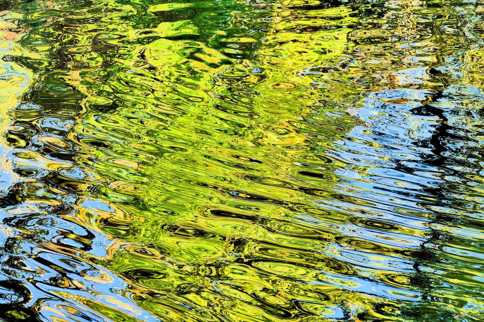 Wasseroberfläche eines Teichs im Herbst