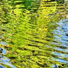 Wasseroberfläche eines Teichs im Herbst