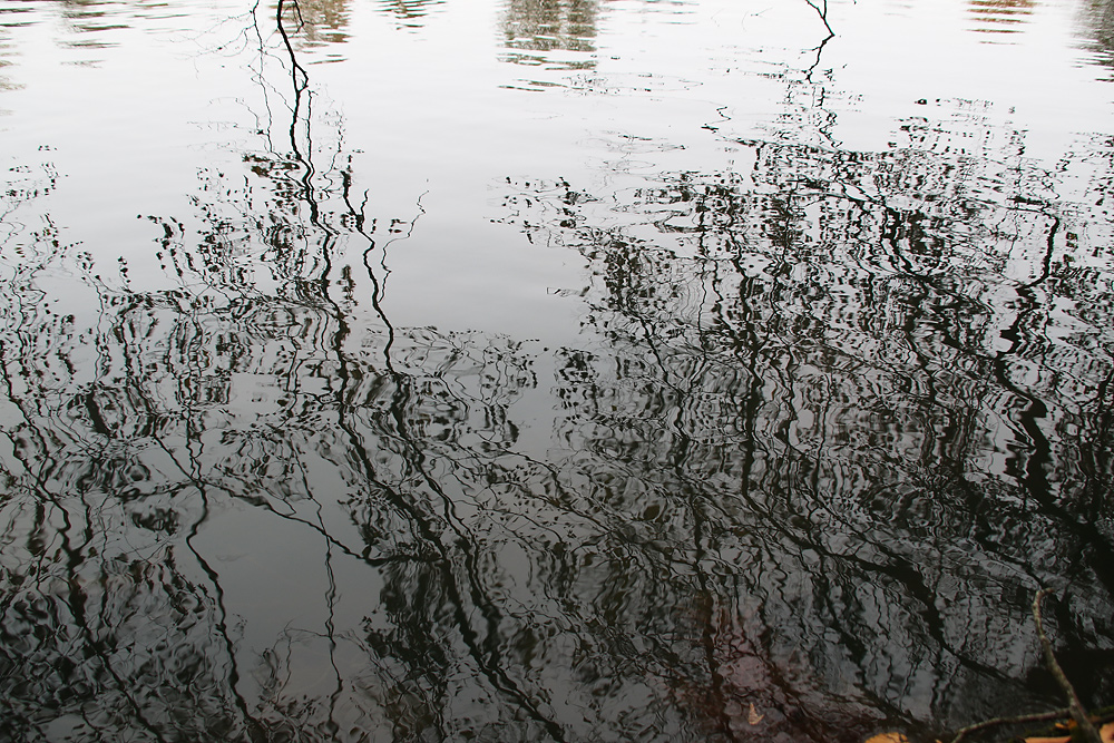 Wasseroberfläche mit Baumspiegelung-Details