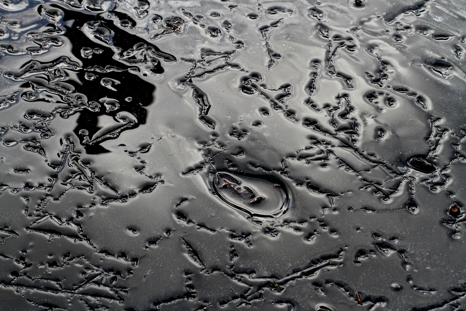 Wasseroberfläche Teich gefroren