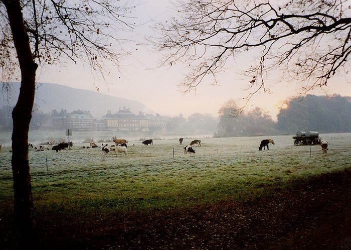 Wasserpalais im Frostnebel