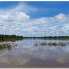 Wasserparadies Amazonas..............