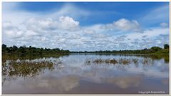 Wasserparadies Amazonas..............